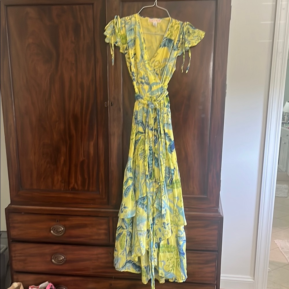 Banjanan Yellow and Green Maxi Dress V-Neck Flutter Sleeve